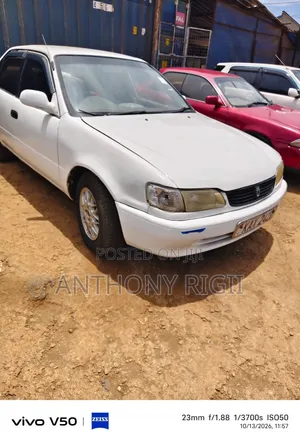 Toyota Corolla Sedan 1999 White