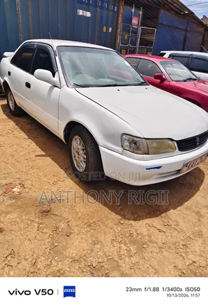 Toyota Corolla Sedan 1999 White