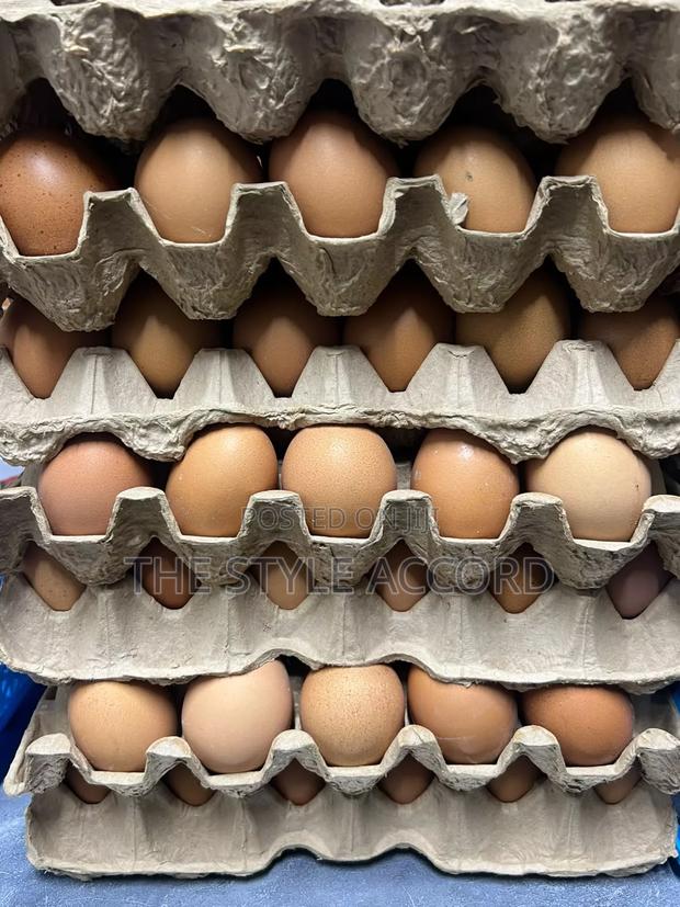 Fresh Farm Eggs - main view