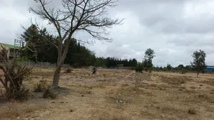 2 Acres of Prime Land for Sale in Kisaju Near Fred Ranch