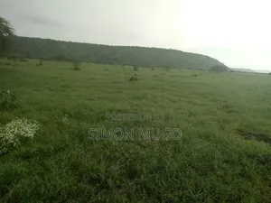 Ewuaso keNdong 220ac With Seasonal River Ideal for Commercial Farming