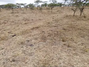 Amazing 5 Acre Residential Land in Kiserian