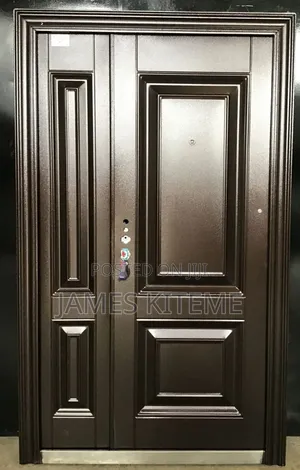 Hidden Hinges Steel Doors Highest Quality