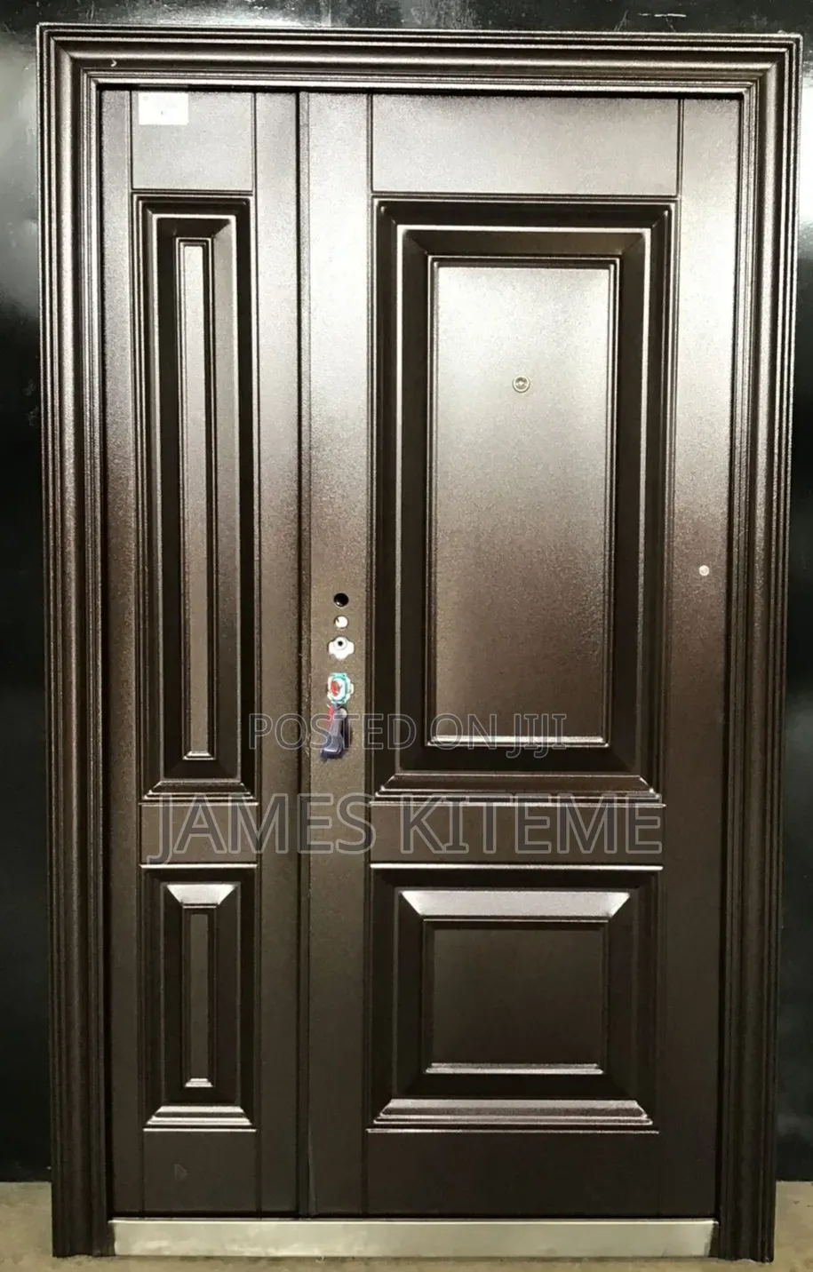 Hidden Hinges Steel Doors Highest Quality