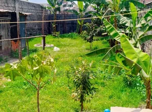 Farming Area 40 by 80 With Single Room,poultry House,toilet &Store