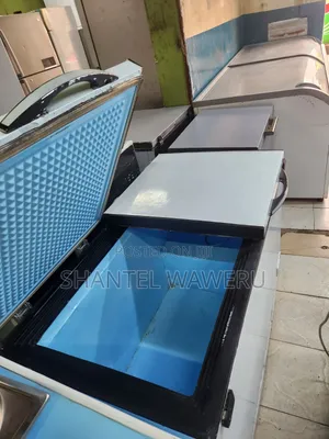 Double Door Freezer 450litres (W)