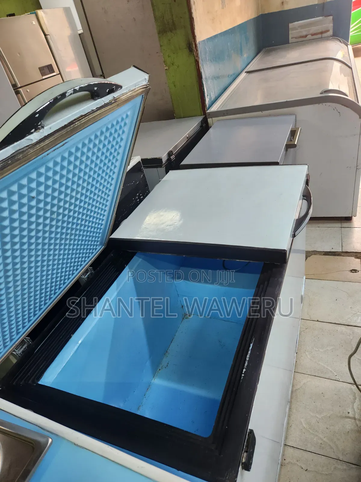 Double Door Freezer 450litres (W)