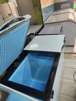 Double Door Freezer 450litres (W)