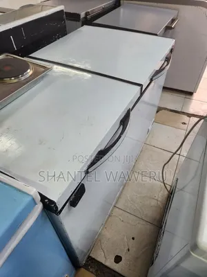 Double Door Freezer 450litres (W)