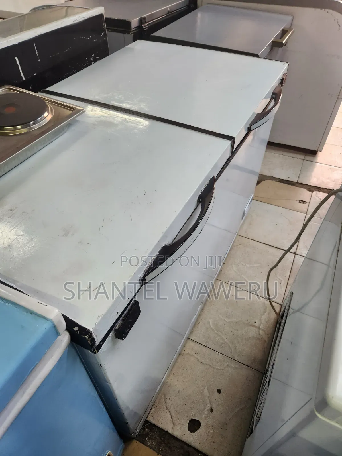 Double Door Freezer 450litres (W)