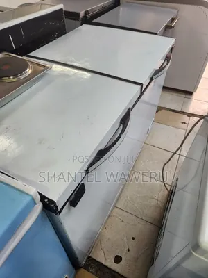Double Door Freezer 450litres (W)
