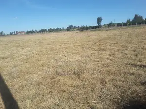 Lovely 5 Acrec Residential Land in Kiserian