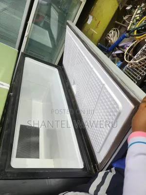 One Big Chest Freezer