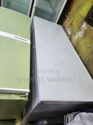 One Big Chest Freezer