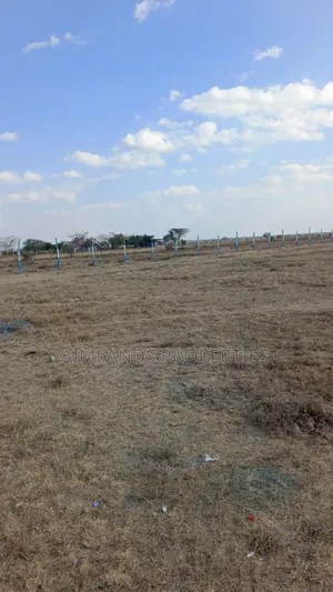 50 by 100 Prime Plots at KCA University Kitengela