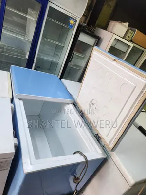 Blue Deep Freezer D2r