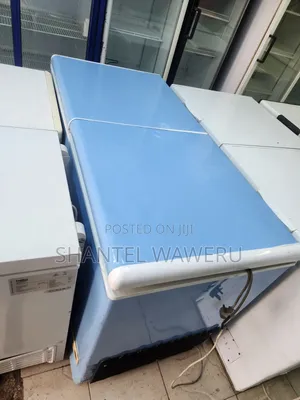 Blue Deep Freezer D2r