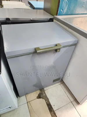 Silver Deep Freezer 150litres S1