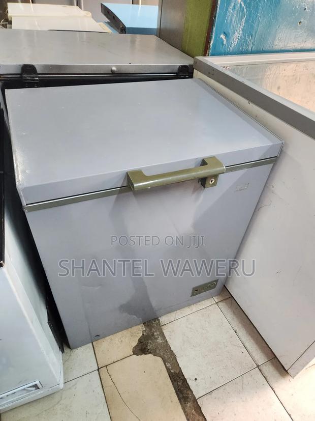 Silver Deep Freezer 150litres S1 - main view