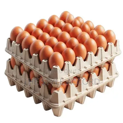 Fresh Farm Eggs