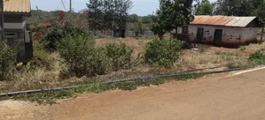 Premium Plot Ready for Development