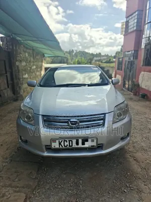 Toyota Axio 2008 Silver