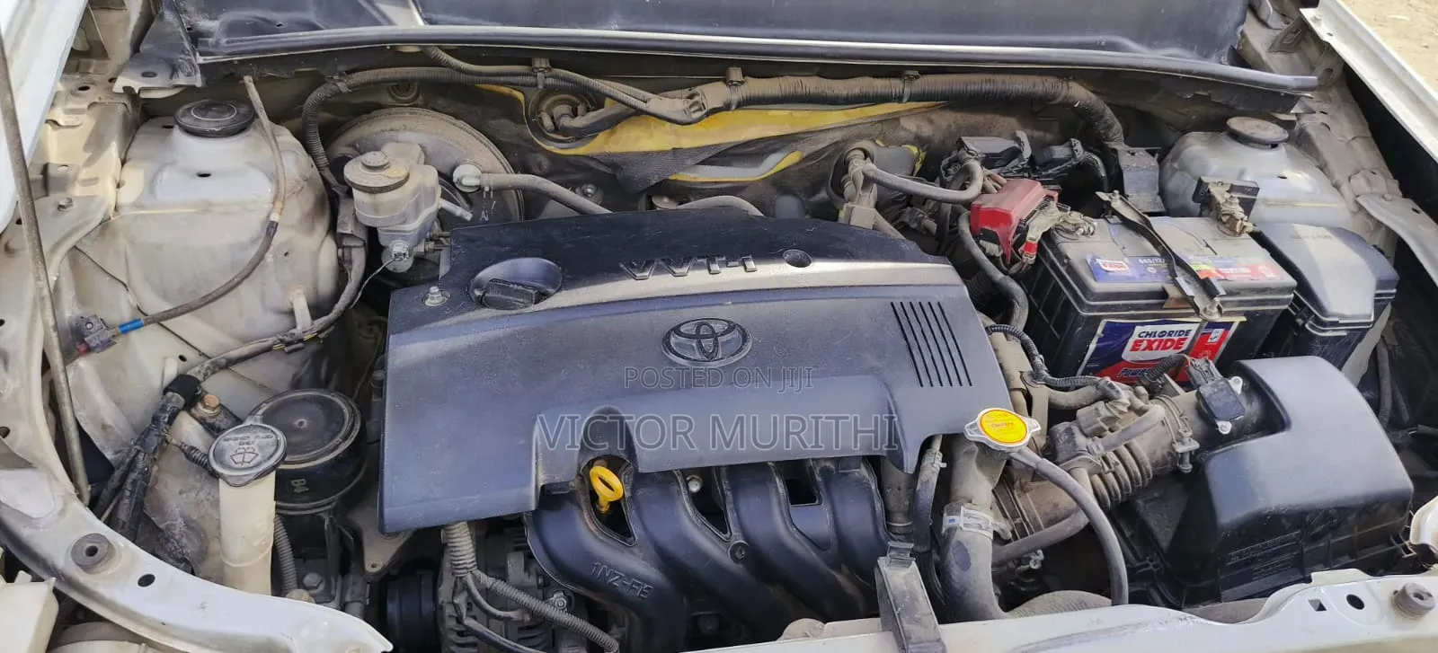 Toyota Probox 2015 White