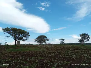 Makuyu 45 Acres Red Soil for Sale