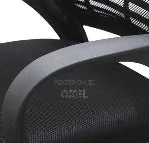 Office Chair : Executive Strong Mesh Chair- Mid Back