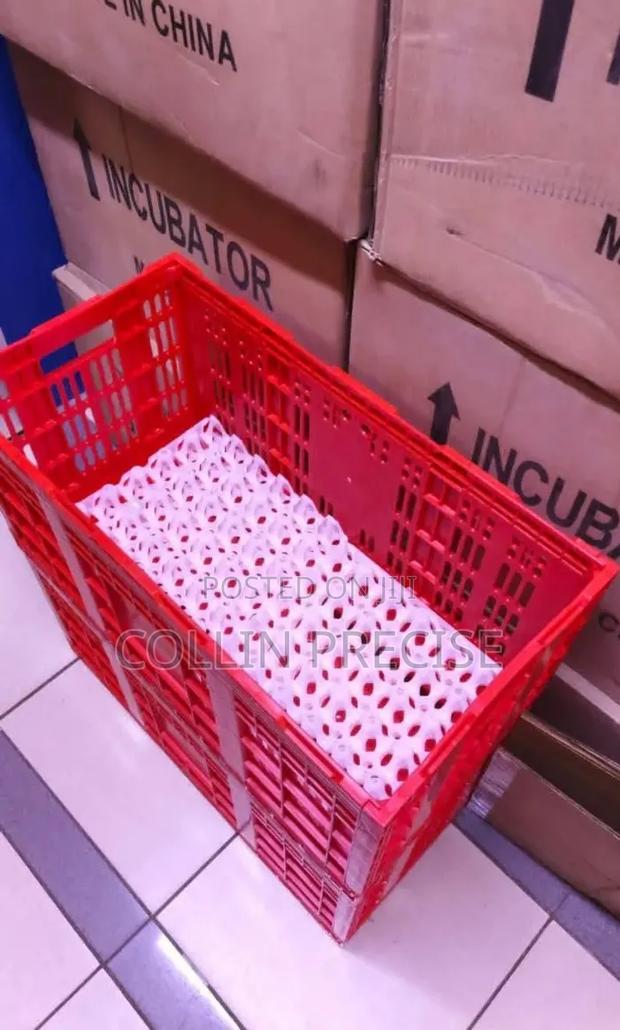 Egg Transportation Crates - main view
