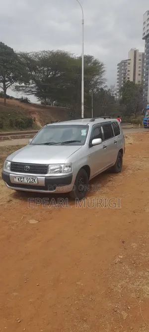 Toyota Probox 2012 Silver