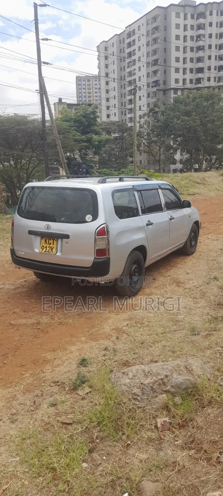 Toyota Probox 2012 Silver