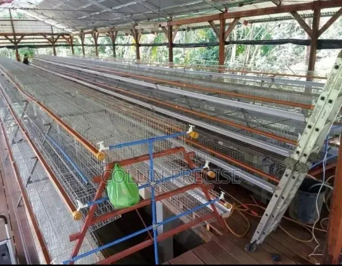 1024 Birds Galvanized Chicken Cages