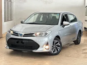 Toyota Axio 2019 Silver