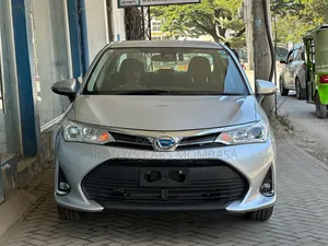Toyota Axio 2019 Silver