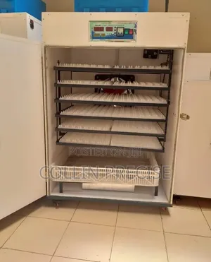 1056 Egg Incubator