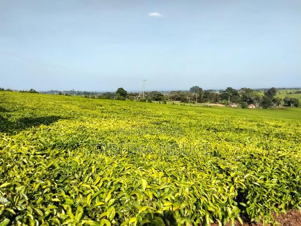 1 Acre in Tigoni - thumbnail 2