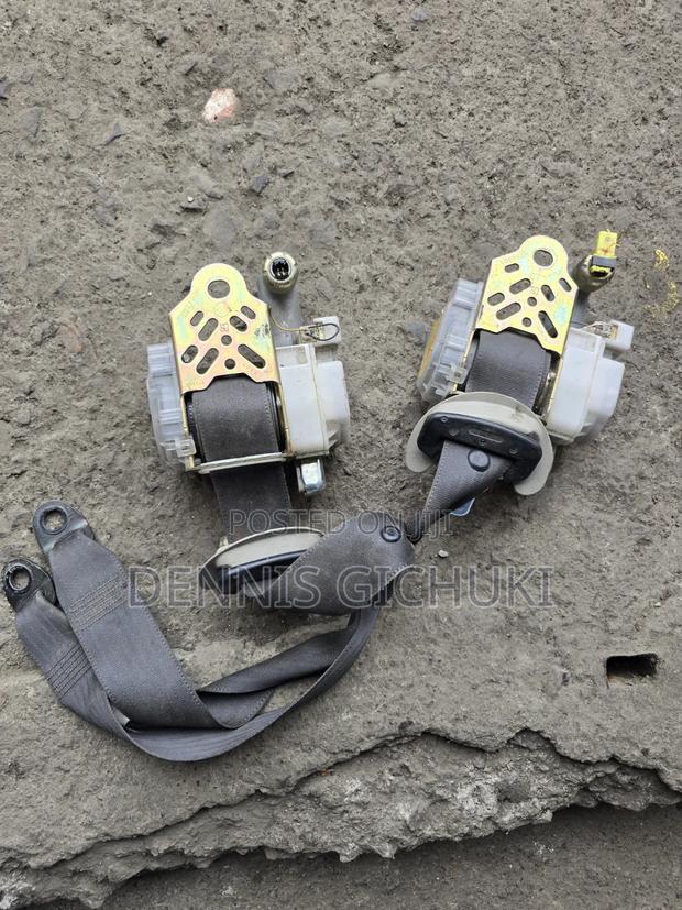 Safety Belts for Harrier 240 - thumbnail 2