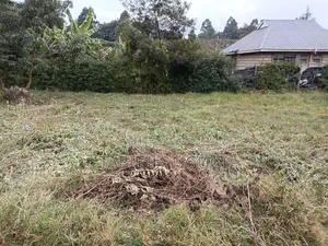 50x100 in Kikuyu-Ondiri