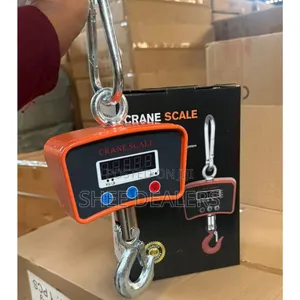 Digital Crane Scale 500kg