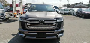 Toyota Land Cruiser LC300 2023 Brown