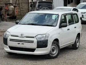 Toyota Probox 1.3 DX 2WD 2019 White