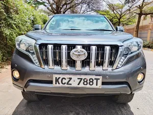 Toyota Land Cruiser Prado 2013 Gray