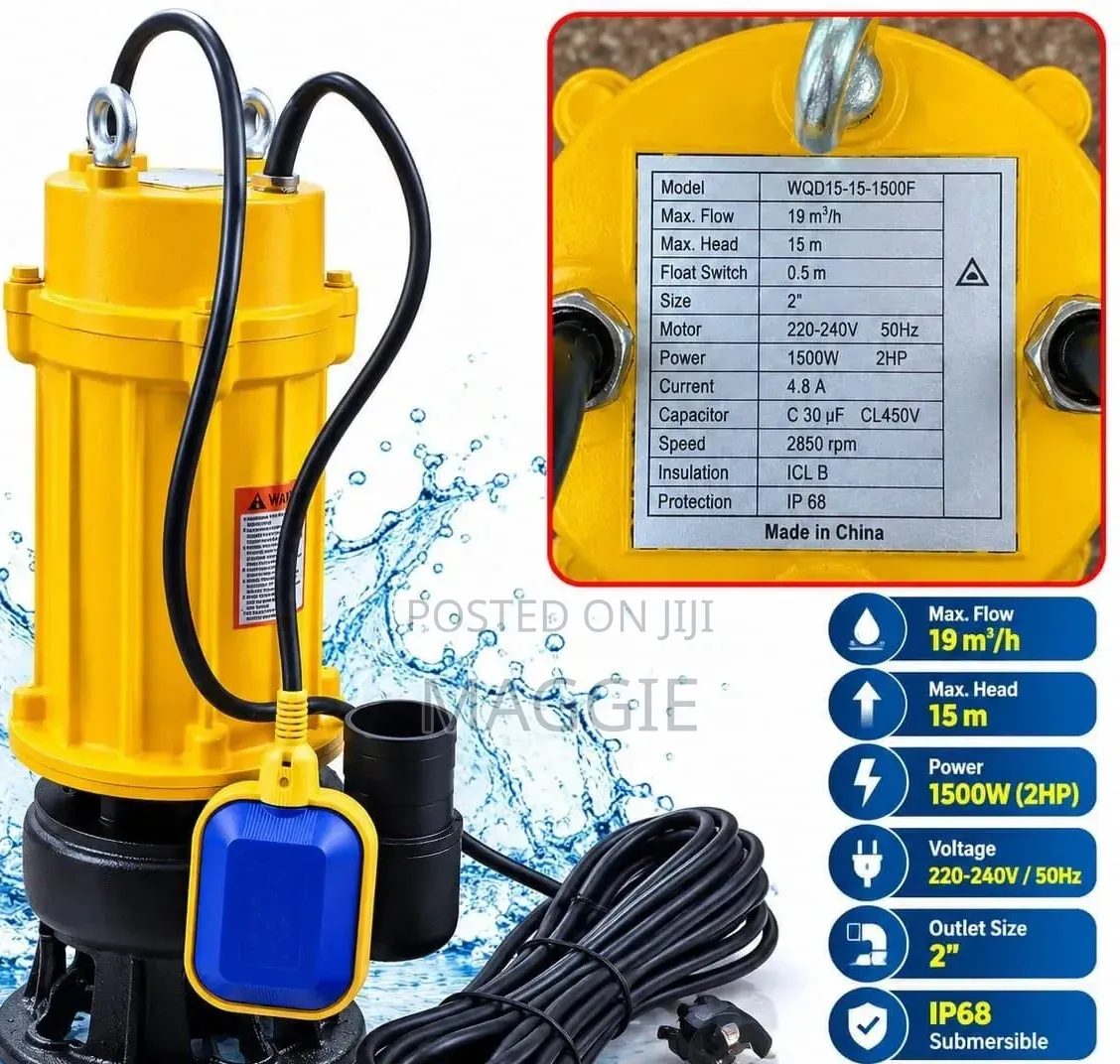 15M 2" Submersible