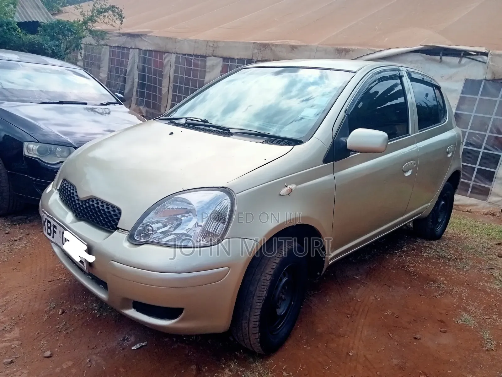 Toyota Vitz 2003 Gold
