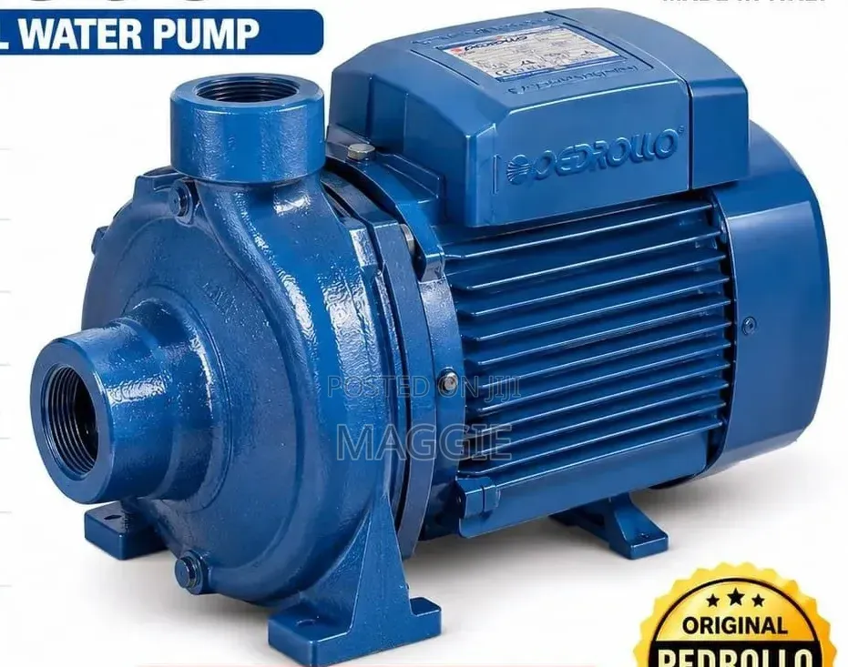 CP 230C Pedrollo Water Pump