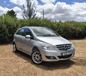 Mercedes-Benz B-Class 2011 Gray