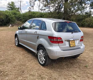 Mercedes-Benz B-Class 2011 Gray