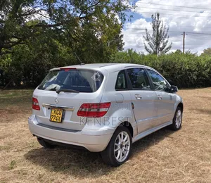 Mercedes-Benz B-Class 2011 Gray