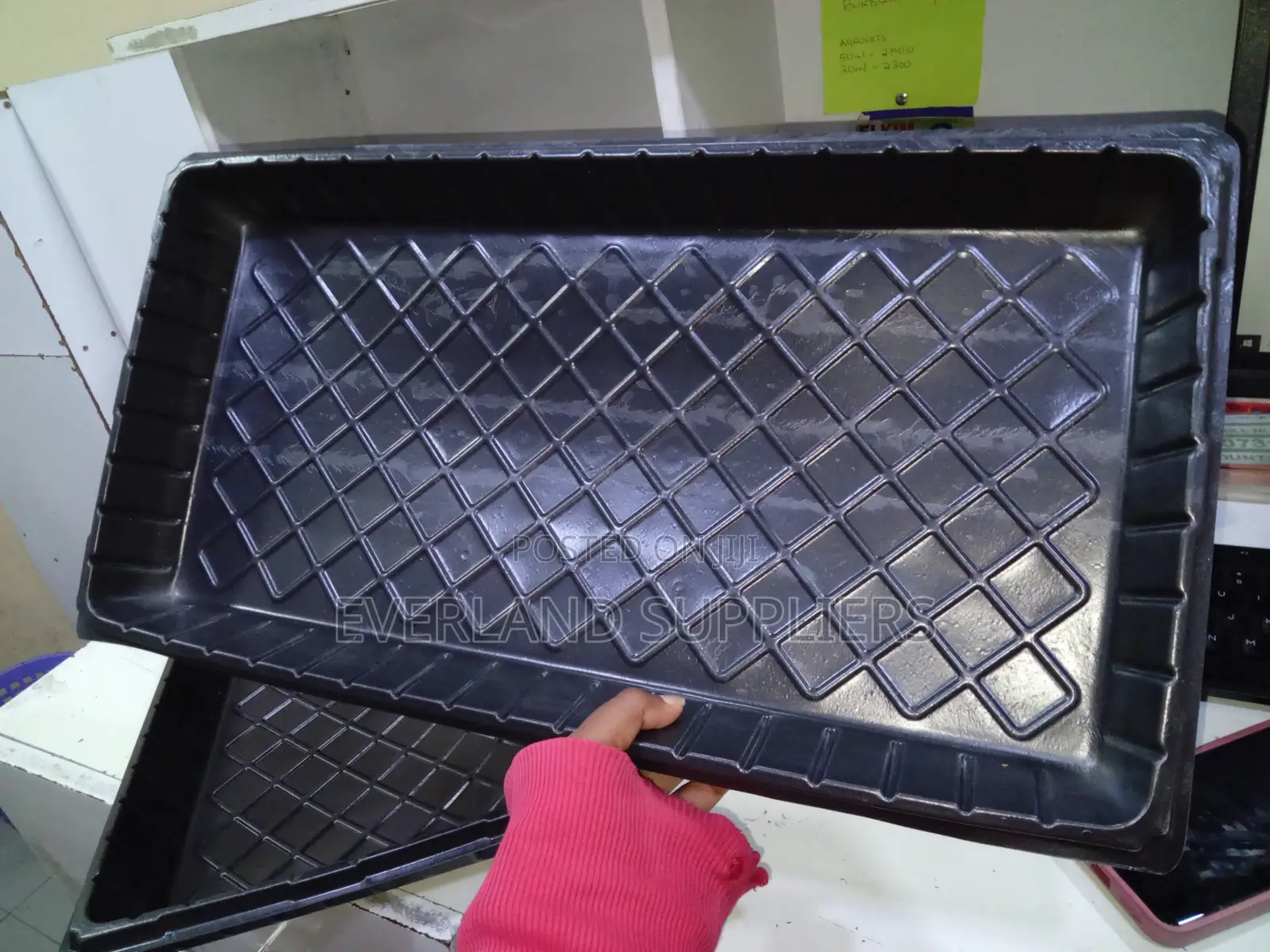 Hydroponic Trays for Rockwool Growing - No Holes
